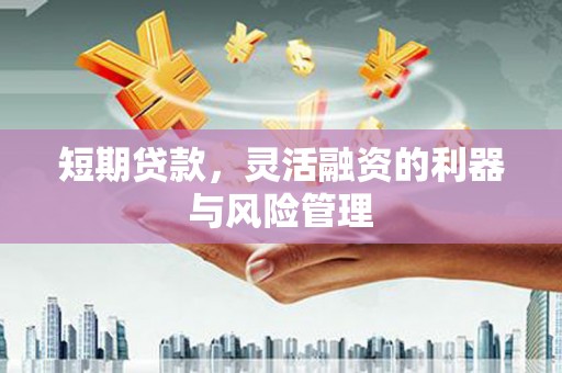 张掖短期贷款，灵活融资的利器与风险管理