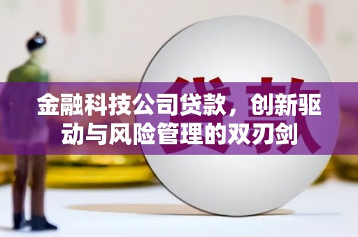 张掖金融科技公司贷款，创新驱动与风险管理的双刃剑